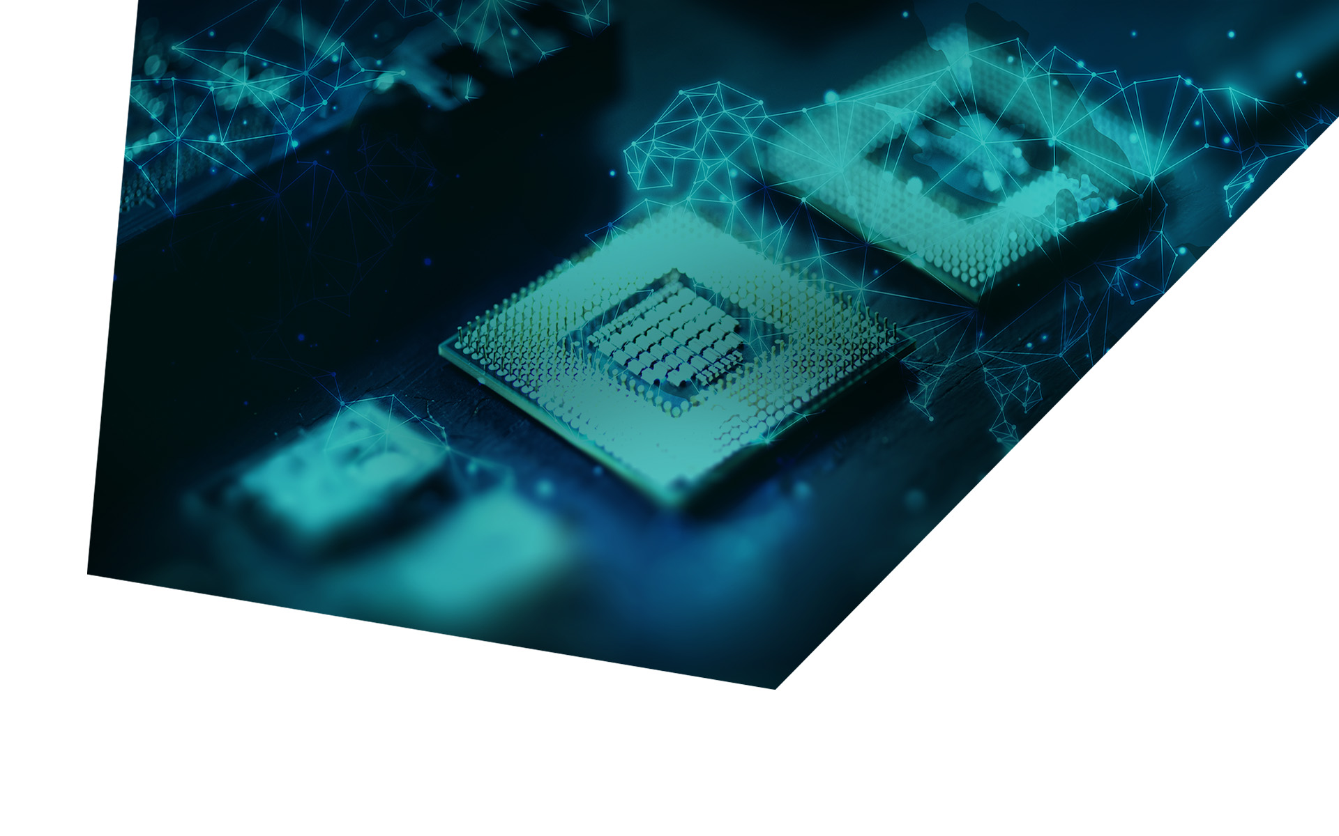 World leading manufacturers